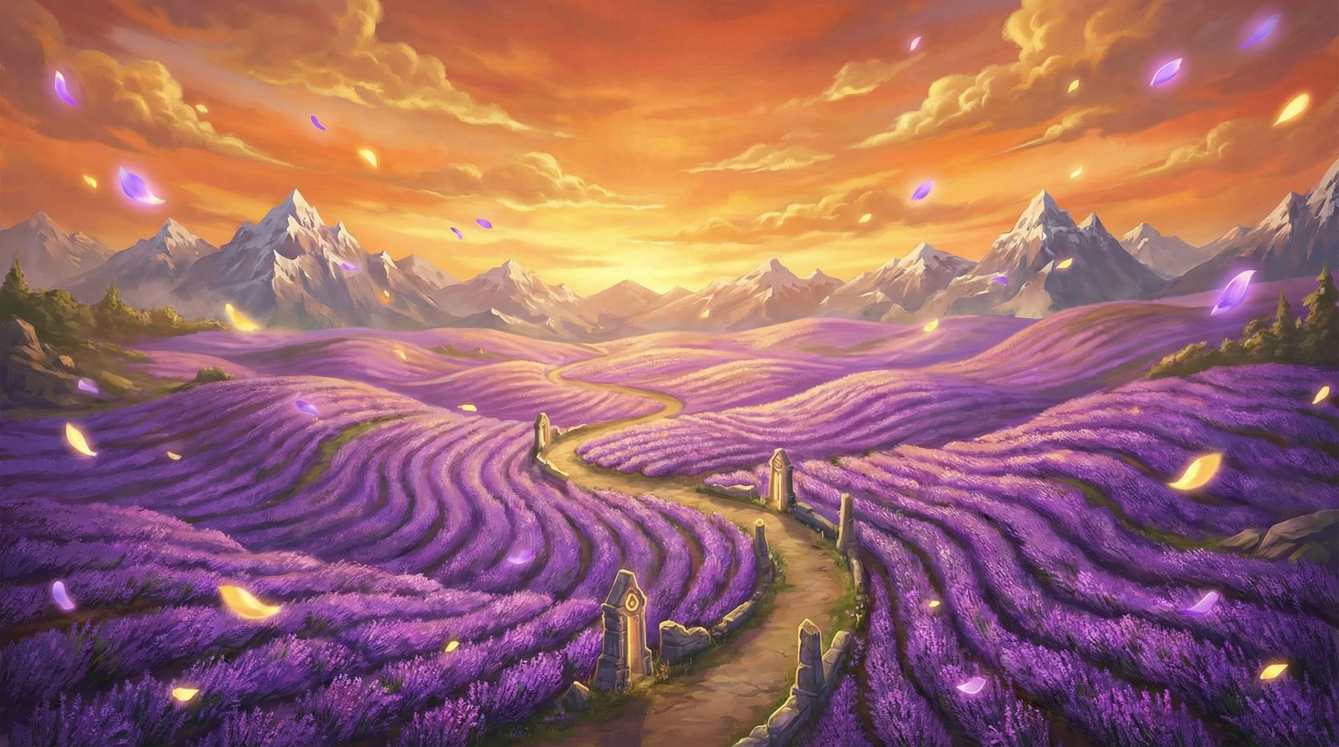 成人小说薰衣草花海航拍植物视频